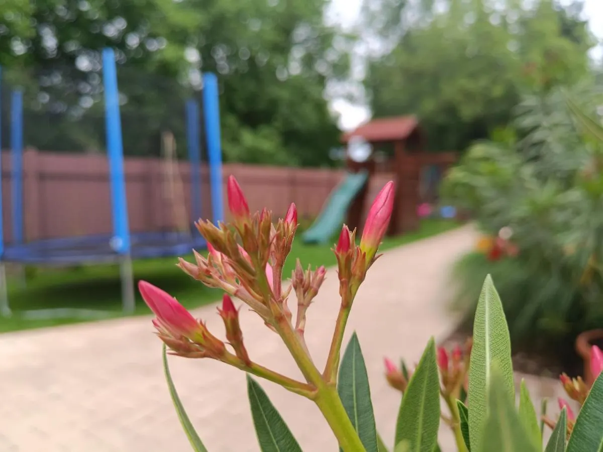 Hajdúszoboszló Apampa Apartman